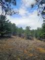 TBD Silver Spruce Circle - Photo 36