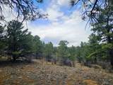 TBD Silver Spruce Circle - Photo 37