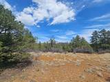TBD Silver Spruce Circle - Photo 39