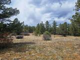 TBD Silver Spruce Circle - Photo 4