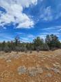 TBD Silver Spruce Circle - Photo 40