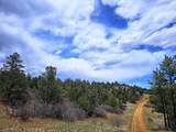 TBD Silver Spruce Circle - Photo 42