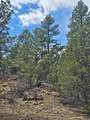 TBD Silver Spruce Circle - Photo 44
