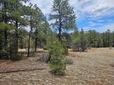 TBD Silver Spruce Circle - Photo 5
