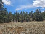 TBD Silver Spruce Circle - Photo 6