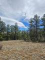 TBD Silver Spruce Circle - Photo 7