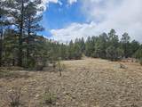 TBD Silver Spruce Circle - Photo 9