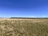 Lot 759 Lawrence Blvd - Photo 5