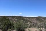 12101 Elk Run Rd - Photo 4