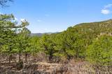 2057 Horse Thief Gulch Rd - Photo 39