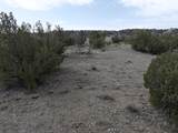 TBD County Road 62.8 - Photo 3