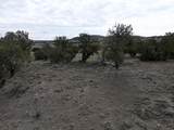 TBD County Road 62.8 - Photo 4