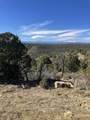 tbd County Rd - Photo 11