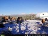 tbd County Rd - Photo 14