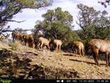 tbd County Rd - Photo 15