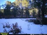 tbd County Rd - Photo 16