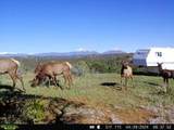 tbd County Rd - Photo 17
