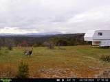 tbd County Rd - Photo 18