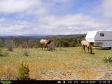 tbd County Rd - Photo 19