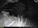 tbd County Rd - Photo 21
