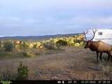 tbd County Rd - Photo 23