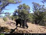 tbd County Rd - Photo 24
