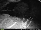 tbd County Rd - Photo 26