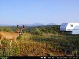 tbd County Rd - Photo 27
