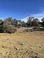 tbd County Rd - Photo 5