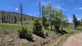 448 Wagon Mesa Loop - Photo 12