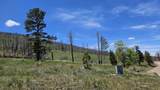 448 Wagon Mesa Loop - Photo 14
