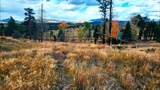 448 Wagon Mesa Loop - Photo 21
