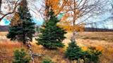 448 Wagon Mesa Loop - Photo 23