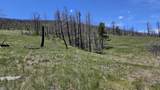 448 Wagon Mesa Loop - Photo 6