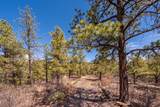 20243 Aspen Lane - Photo 36