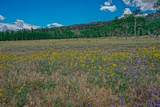 TBD Parsons Rd - Photo 11
