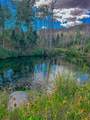 TBD Parsons Rd - Photo 13
