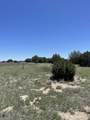 TBD Pinon Canyon Rd - Photo 15