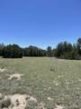 TBD Pinon Canyon Rd - Photo 16