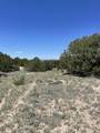 TBD Pinon Canyon Rd - Photo 17