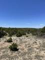TBD Pinon Canyon Rd - Photo 18