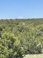 TBD Pinon Canyon Rd - Photo 19