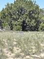 TBD Pinon Canyon Rd - Photo 20
