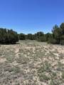 TBD Pinon Canyon Rd - Photo 22