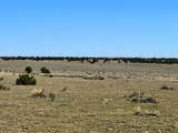 TBD Turkey Ridge #7 - Photo 4