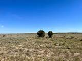 TBD Turkey Ridge #7 - Photo 7