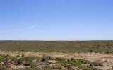 TBD County Road 101.5 - Photo 3