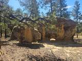 13265 Mountain Meadow Trace Terrace - Photo 30