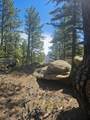 13265 Mountain Meadow Trace Terrace - Photo 31