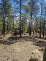 13265 Mountain Meadow Trace Terrace - Photo 35